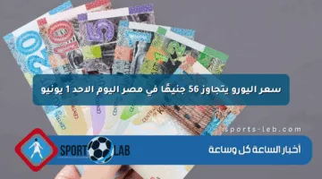 سعر اليورو يتجاوز 56 جنيهًا في مصر اليوم الأحد 1 يونيو